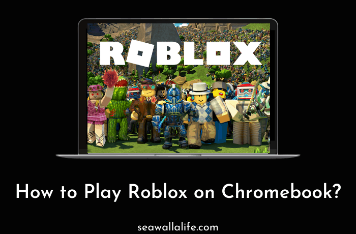 How To Play Roblox on Chromebook