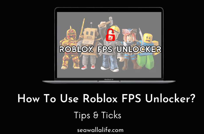 How To Use Roblox FPS Unlocker