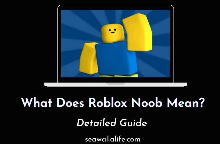 What Does Roblox Noob Mean