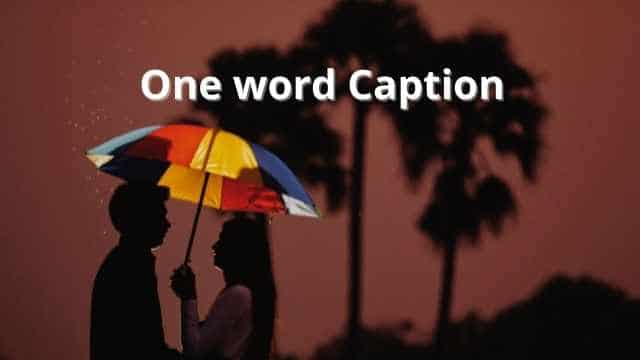 One word Captions